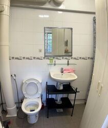 Blk 428 Tampines Street 41 (Tampines), HDB Executive #524417551